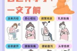 孕反多久才能好