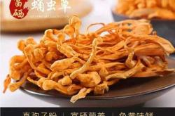 备孕的人能吃蛹虫草吗