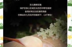 孕妇怀孕能喝蜂蜜水吗