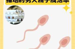 备孕老公不戒烟可以吗