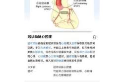 怀孕时能查出先心病吗
