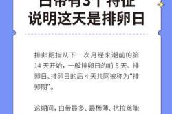 产后没排卵会怀孕吗