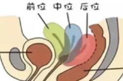 备孕老公肠胃不好怎么办