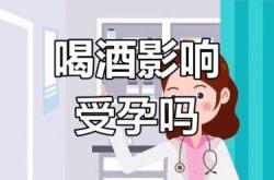 备孕时期能少量喝酒吗