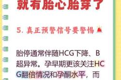 孕11周孕反咋突然出现了