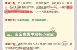 新生儿照相需要注意什么