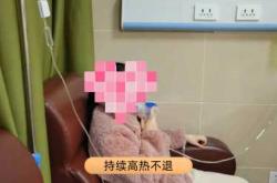 没高烧了影响备孕吗