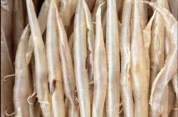 男性备孕吃哪些海鲜最好