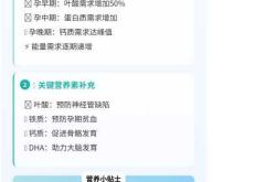 备孕需要补充蛋白质吗