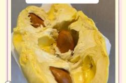 怀孕了吃什么能保胎