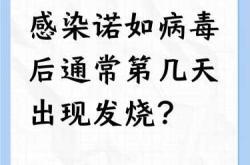 婴儿病毒感染发烧怎么办
