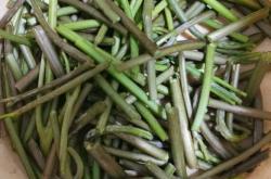 备孕女性可以吃蕨菜吗