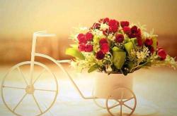 有哪些婴儿降生的唯美句子