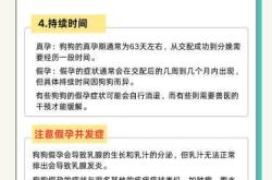 狗怀孕能喝奶粉吗