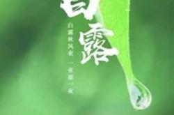 白露何时穿拉拉裤