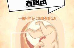 孕反一般几周高峰