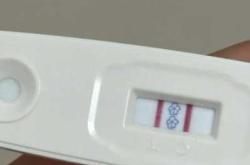 怀孕多久抽血能验出结果