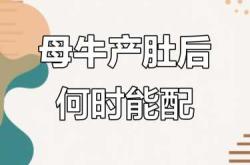 母牛产后风该如何防治