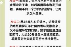 备孕中梦见捡羊肚菌啥寓意