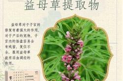 产后恶露不净该吃什么药