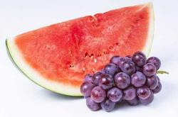 备孕可以吃红萝卜吗