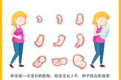 婴儿与动物之间有何奇妙关联