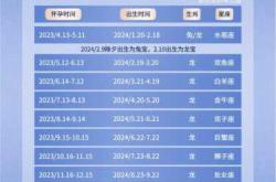 如何向领导说自己备孕
