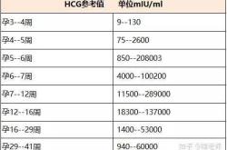 孕12w开始孕反正常吗