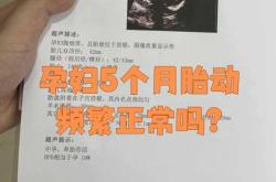 孕五周感觉孕反正常吗