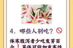 产后吃百合有什么好处