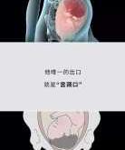 顺产分娩图是什么样的画面