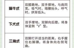 产后恢复有哪些有效动作