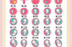 5周孕反恶心是正常现象吗