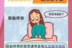 停育后多久可再怀孕