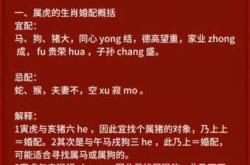 备孕时老公为啥梦见老虎