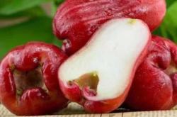 产后能吃莲雾吗