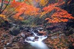 剖腹产后多久可以吃醋