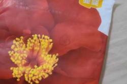 宜婴红遇山茶拉拉裤好吗