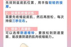 产后多久锻炼盆底肌