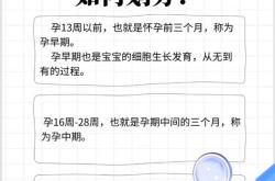 孕孕反有几个类型呢