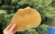 备孕可以吃老虎豆吗