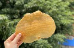 备孕可以吃老虎豆吗