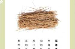 备孕能吃含麻黄的药吗