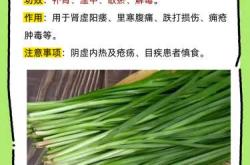 人工流产后能吃韭菜吗