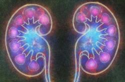 女性备孕期间敢喝降压药吗