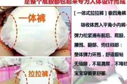 拉拉裤式小内裤如何选