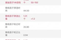 孕10周孕反加剧正常吗