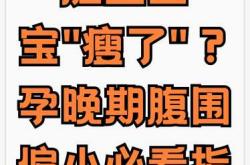 产后腹围能缩小多少