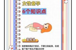 备孕中能否照b超