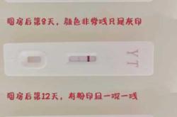 试纸测怀孕几天能查出来